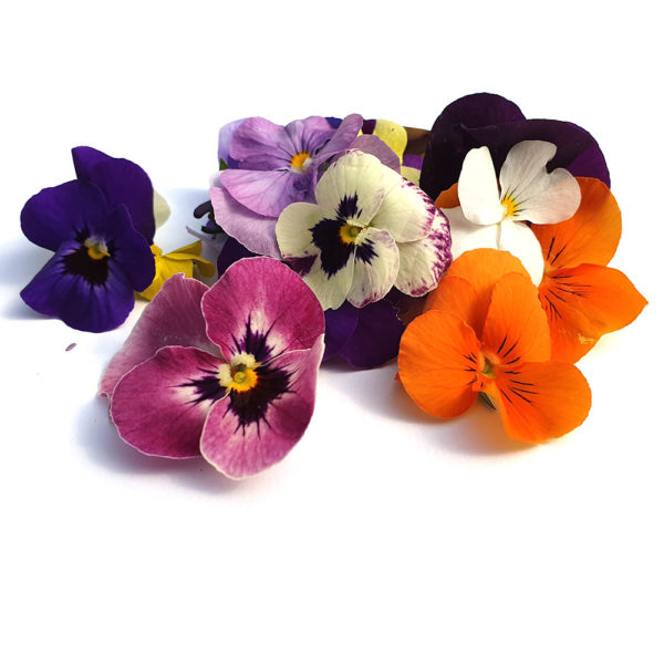 Edible Flowers Viola Mix Sagewood Cafe